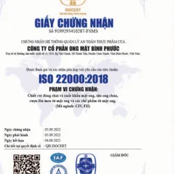 Mật ong Hương Lưu BP Honey ( chai 509ml)  719575