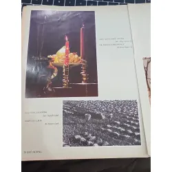 Hình ảnh Quê Hương - CLB Nhiếp ảnh TP.HCM 700641