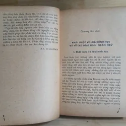 Loại Hình Các Ngôn Ngữ & Nghiên Cứu Về Chữ Nôm 736945