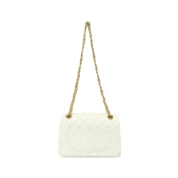 Túi xách vai Chanel AS0874 612823