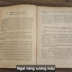 [Tủ sách Sông Hương 1988]
-
NGAI VÀNG XƯƠNG MÁU 713112