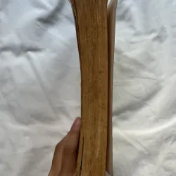 The Wings of the Dove - Henry James 790101