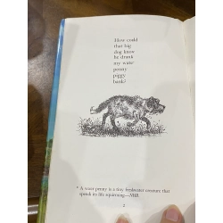 Water Pennies and Other Poems - N. M. Bodecker 505390
