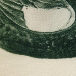 【Khuyến mãi】Burberry BURBERRY Áo 643245