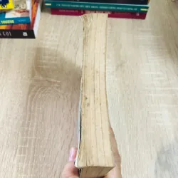 CHU DỊCH VỚI DỰ ĐOÁN HỌC – Thiệu Vĩ Hoa 925766