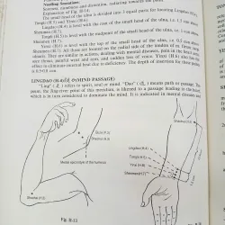 ACUPUNCTURE MERIDIAN THEORY AND ACUPUNCTURE POINTS 557378