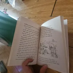 A snowy Robin Rescue Giá 20k  604037