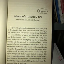 Linh quang hé lộ - Dzigar Kongtrul 728211