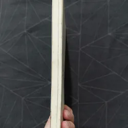 "Quá trẻ để chết: Hành trình nước Mỹ" - Đinh Hằng 1019926