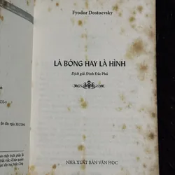 Là bóng hay là hình 738158