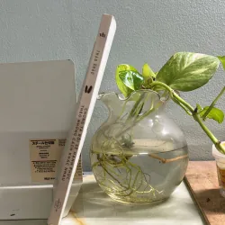 Chúng ta rồi sẽ hạnh phúc theo những cách khác nhau 763035