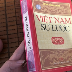 Việt Nam sử lược 497383