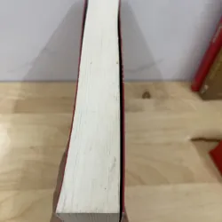 Mặt trái Đản Đản  970410