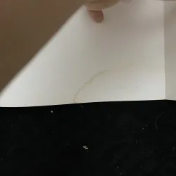 Nhạc Châu Kỳ- Kha Thị Đàng ( chữ ký, hồi ký) 1022461