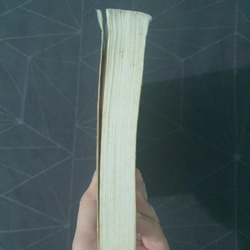 "Dấu tích người nước ngoài trong lịch sử Viẹt Nam" - Trần Thái Bình 493141