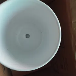 Chậu gốm trắng trồng cây 753583