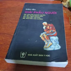 Giản yếu Giải phẩu người 937151