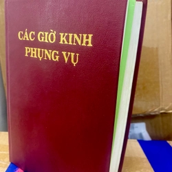 Các giờ kinh Phụng vụ 1995 543381
