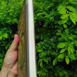 Romeo và Tuyết tự truyện của Jerry White 1000247