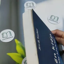 Tiền Kiếp - Có Hay Không? 705673