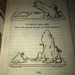 Nét phá trong non bộ  996428