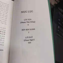 Sách: Búp sen xanh (B1) Tác giả: Sơn Tùng 696641