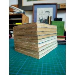 Truyện Tranh Mush Họa Sĩ Thiên Tài - Yamada Yashatoshi 717697