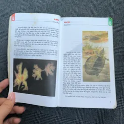 Từ điển tranh về các con vật 592501