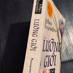 Lưỡng giới 502147