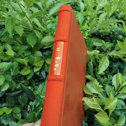 Rabbit ơi chạy đi của John Updike 936583