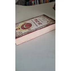 Pháp sư bí mật của Nicholasflamel bất tử - Michael Scott 404598