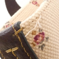 Túi Coach F55598 617832