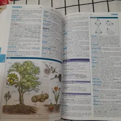 Từ điển Ngoại Anh-LONGMAN DICTIONARY FOR ADVANCED L. PEARSON ED. 6th 2012. Bìa cứng.  594613