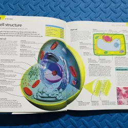 Help Your Kids With Science (DK) – Carol Vorderman 785242