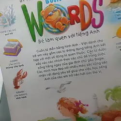 Gấu Bogie Học Từ - NXB Dân Trí - Đông A (Dan Tri - Dong A Publishing) 607708