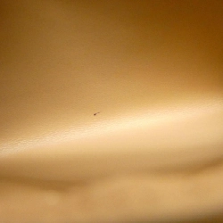 Túi Louis Vuitton Capucines MM M22206 619237