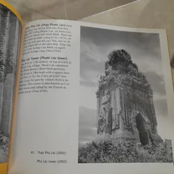 DI SẢN VĂN HÓA CHĂM - NGUYỄN VĂN KỰ 557076
