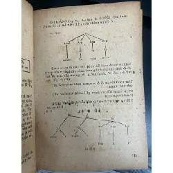 Ngôn ngữ học: Khuynh hướng, Lĩnh vực, Khái niệm 559085