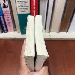 II Combo: Càng Mạnh Mẽ Càng Dịu Dàng & Bạn Mới Là Chủ Nhân Của Cuộc Đời Mình - Lý Ái Linh 756753