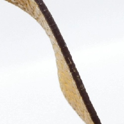 Túi Loewe - Hàng hiệu Authentic 771314