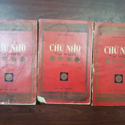 CHỮ NHO TỰ HỌC 1, 2 & 3 - ĐÀO MỘNG NAM