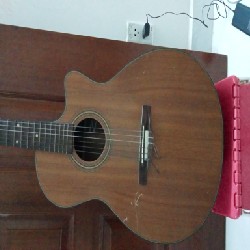 Đàn Guitar cho người mới tập 13890