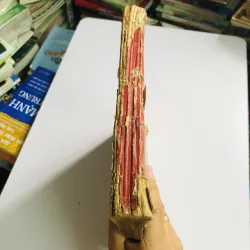 8 cuốn báo NGỰA GIÓNG đóng chung (1973–1974, 75) 776930