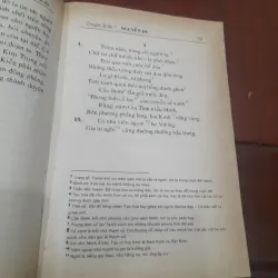 Truyện KIỀU (Bùi Kỷ và Trần Trọng Kim hiệu khảo) 1002165