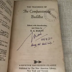 The compassionate Buddha 976049