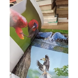 ASIAN Geographic 756897