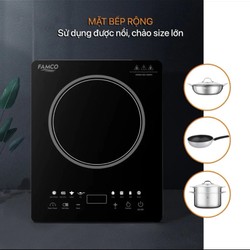 bếp từ Famco, hàng mới