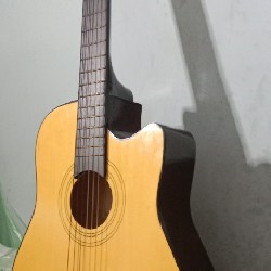 Đàn guitar 