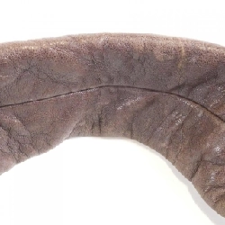 Túi Chanel - Hàng hiệu Authentic 766290