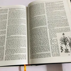 📚 TỪ ĐIỂN BÁCH KHOA VIỆT NAM – TẬP 2 601981